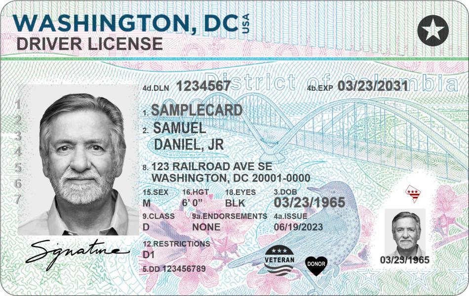 dl cardsample website